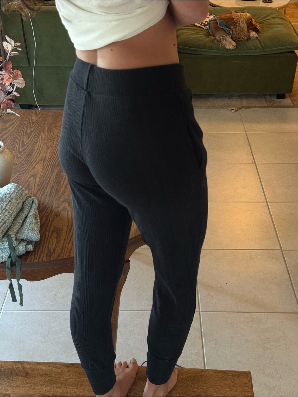 Vitamin A Black Ribbed Jogger Pants